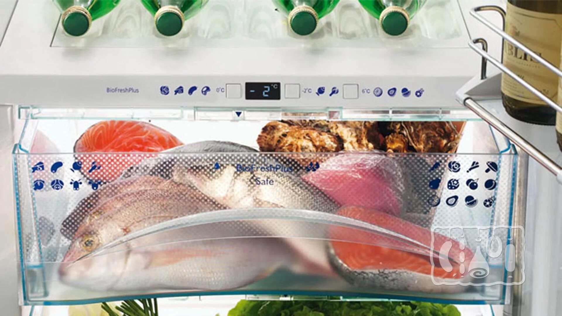 Рыба без холодильника сколько. Хранение рыбы в холодильнике. Рыба в морозилке. Холодильник для охлажденной рыбы и морепродуктов. Хранение рыбы в морозильной камере.