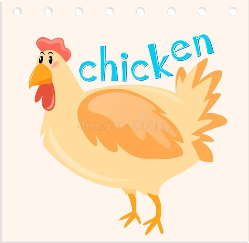 Слова chicken chicken. Chicken карточка на английском. Курица по английски. Карточки с английским словом курица. Карточка курица.