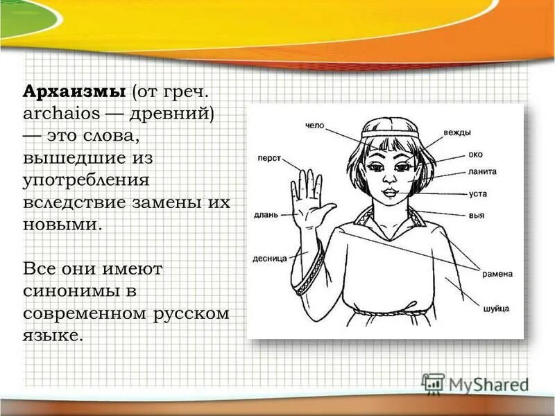 Длань это устаревшее. Архаизмы. Архаизмы задания. Устаревшие названия частей тела. Архаизмы части тела.