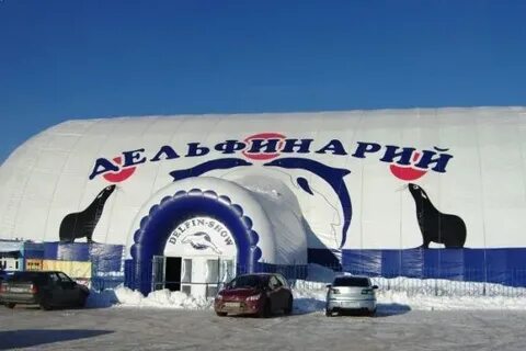 Самарский океанариум московское шоссе 18 й километр