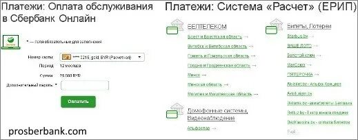 БПС-Сбербанк оплата через ЕРИП. БПС интернет банкинг оплатить. БПС Сбербанк интернет банкинг. Платеж через ЕРИП. Заплатить за залу