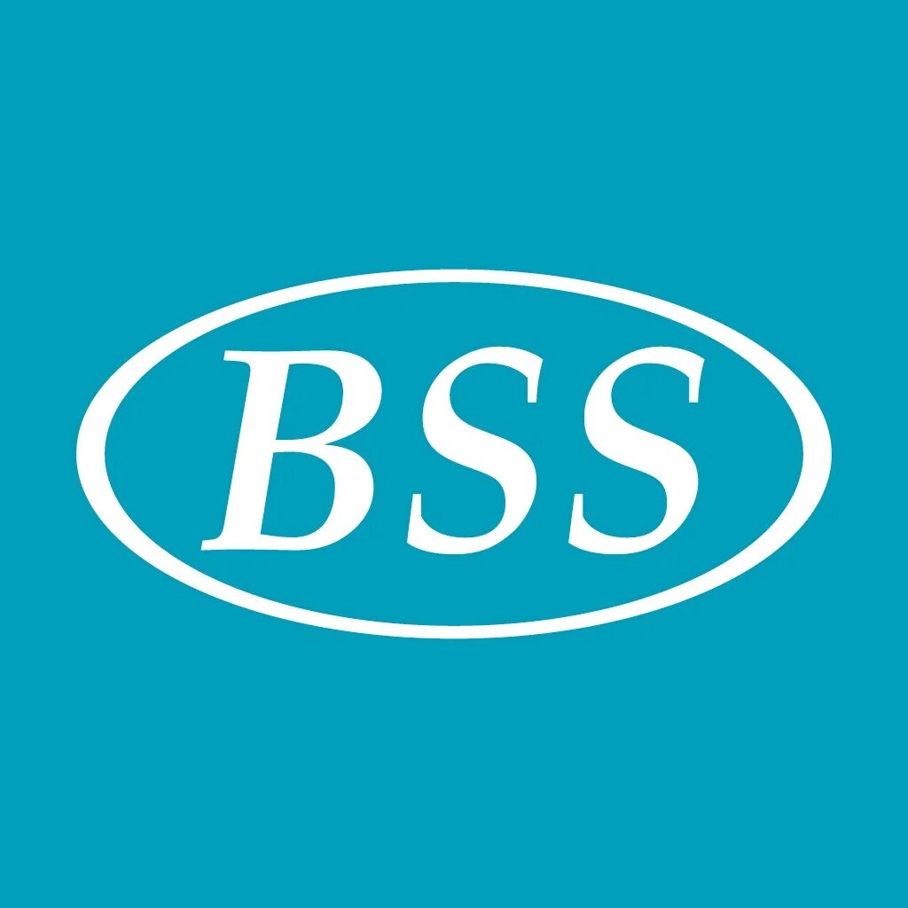 Бсс картинки. Bss test. Bss test. Камеры bss pro. Bss test.
