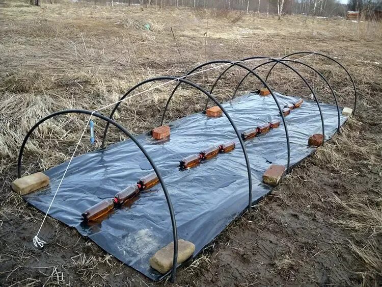 Как установить дуги для парника на грядку