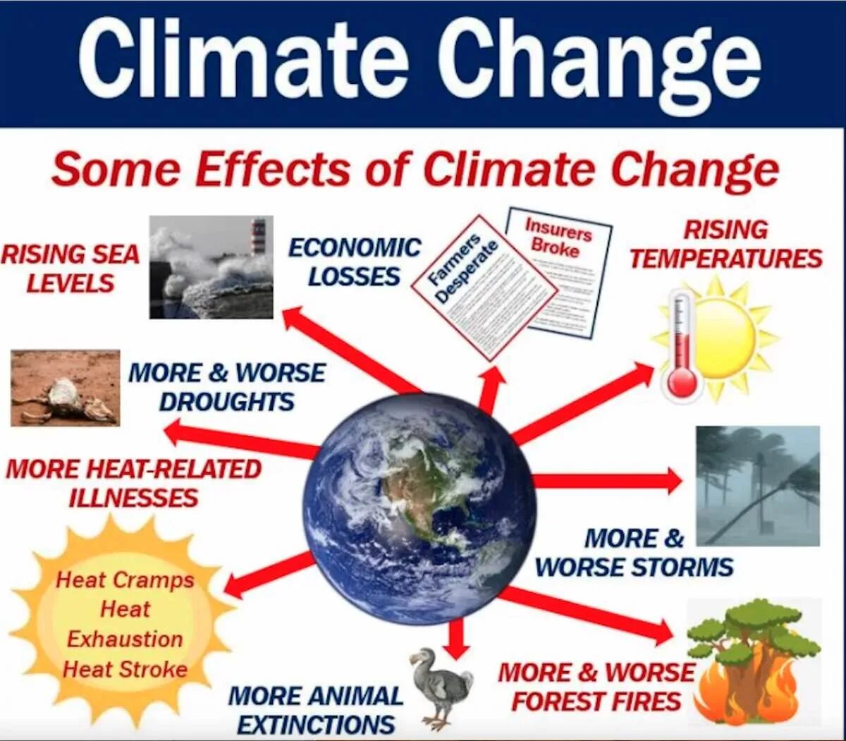 Climate change Effects. Изменение климата на англ. Climate climate change. Changeable climate. Effects of global warming