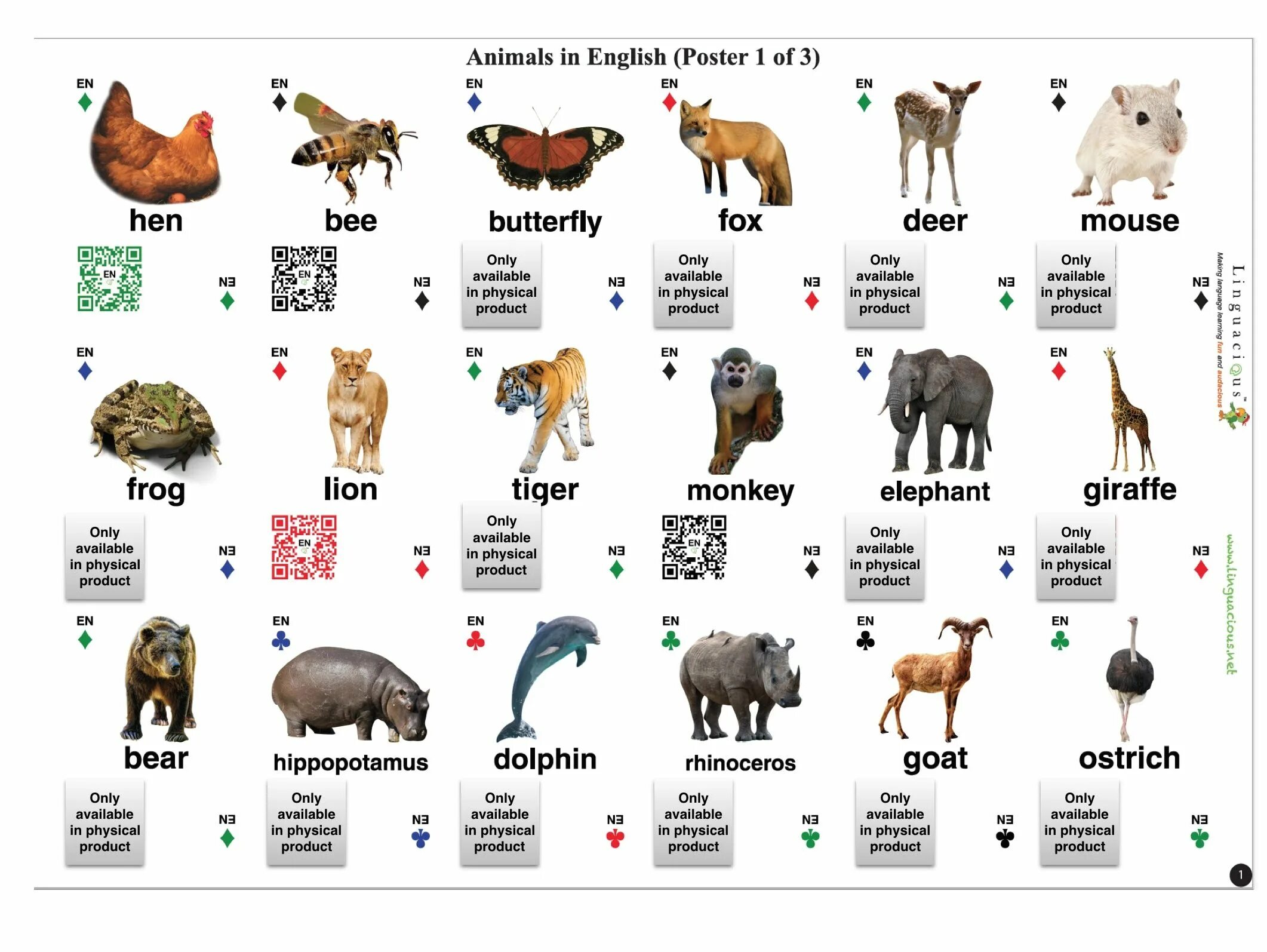 Имя animals. Животные на англ. Название животных на англ яз. Англ яз домашние животные. Животные на английском для детей.