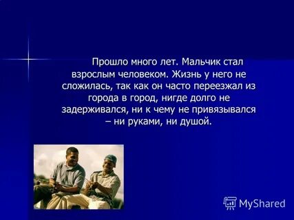 Сама жизнь описание