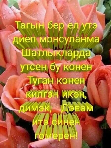 Туган конен б.н. Жизней туган конен. Туган кон открытка. Ильгиз туган конен.