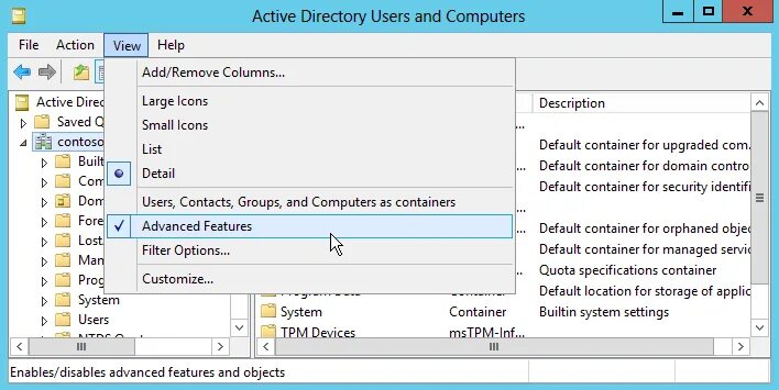 Режим active active. Контейнер Active Directory. Расширенный режим Active Directory. Создание контейнера в Active Directory. Программа для отображения в контейнере.