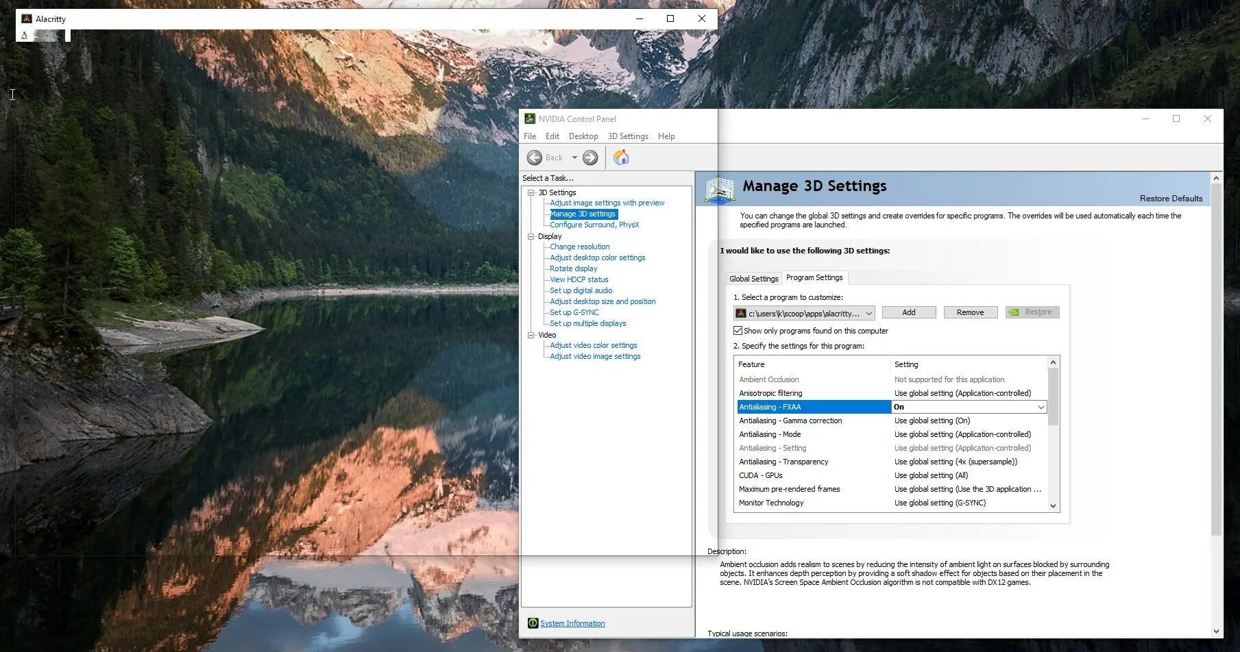 Alacritty config. Alacritty config