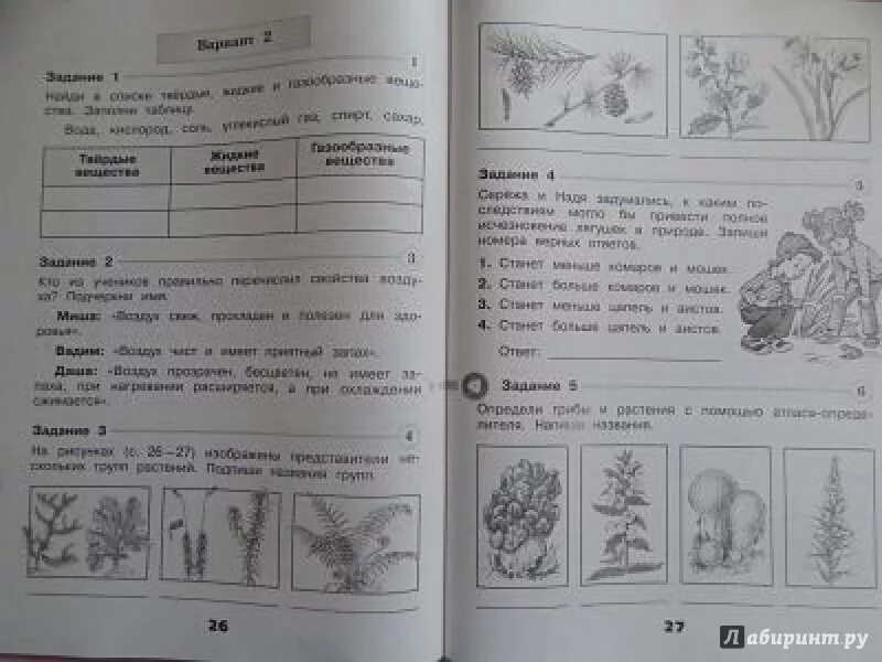 Впр жизнь природы во всех ее. Окружающий мир проверочные. Проверочная по окружающему миру 3 класс. Проверочные по окружающему миру 3 класс Плешаков. Окружающий мир 3 класс проверочные.