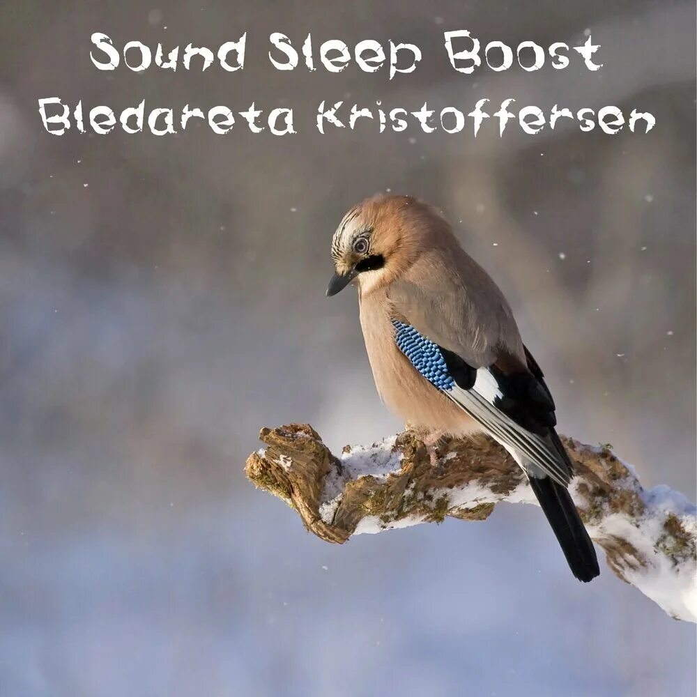 Bird but it is
