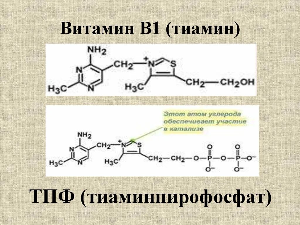 Витамин б1 кофермент. Витамин b1 тиамин формула. Тиаминпирофосфат кофермент. Тиамин в1 формула. Формула спорит