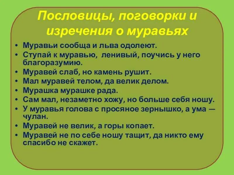 Пословицы о бережном. Пословицы о муравьях. Поговорка про муравья. Стихи и поговорки о муравьях. Пословицы и поговорки про насекомых.