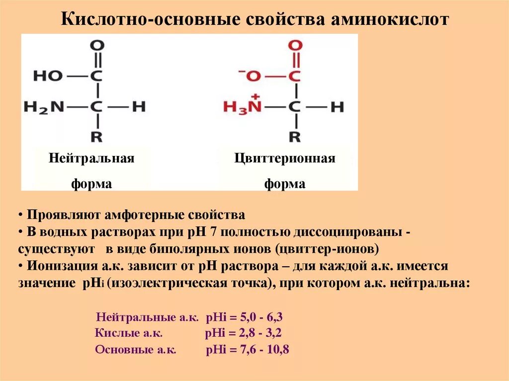 Кислотные белки