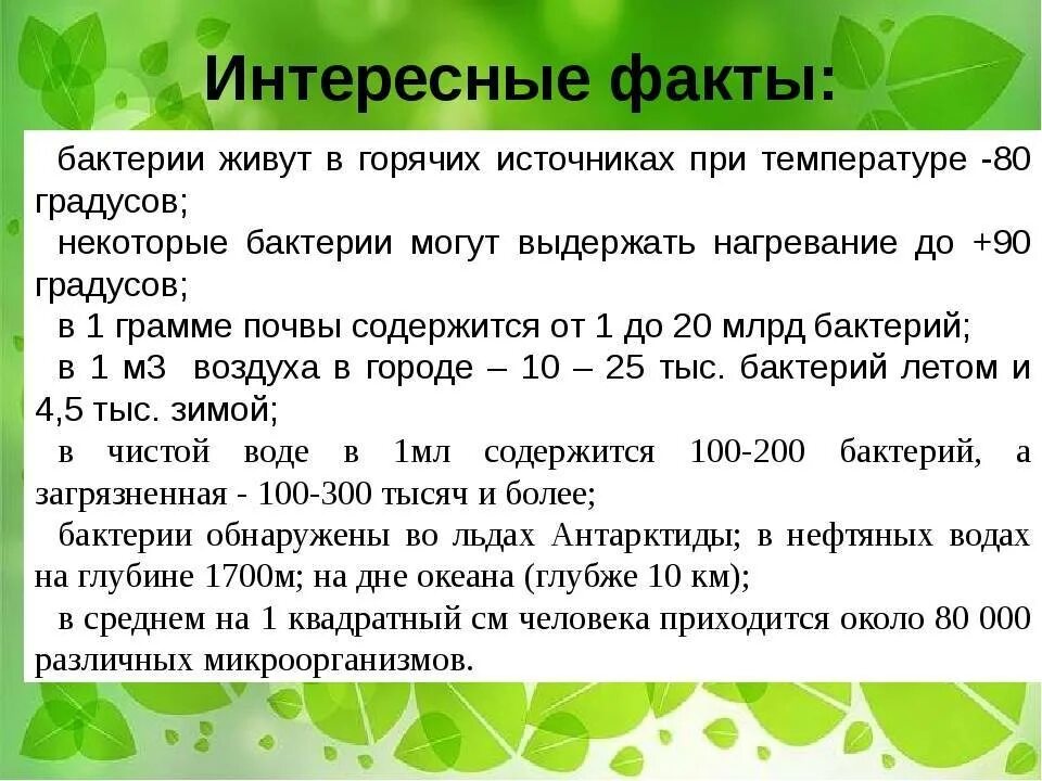 5 Интересных фактов о бактериях. Факты о бактериях 3 класс. 3 Интересных факта о бактериях. Интересная информация о бактериях 3 класс. Факты биология 8 класс