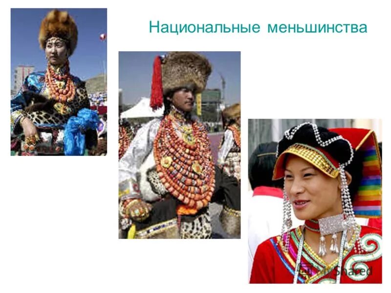 Политика российского меньшинства. Immigration. Феномен влияния меньшинства. Политика российского меньшинства. Политика российского меньшинства.