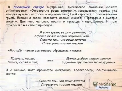 Что можно сказать о лирическом герое стихотворения