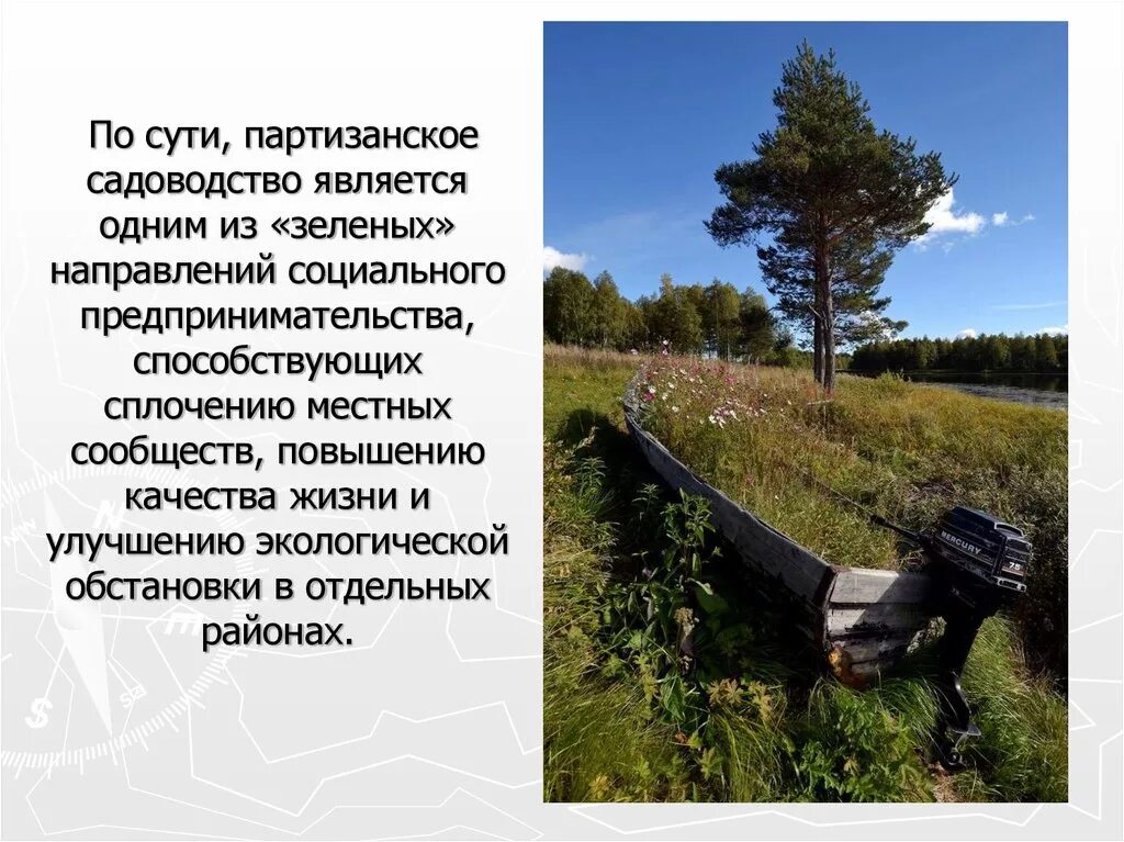 Guerrilla gardeners. Партизанское садоводство. Партизанское садоводство. Международный день партизанского садоводства. Международный день партизанского садоводства 1 мая.