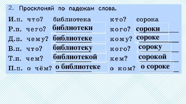 Просклоняй слова любовь жизнь печаль. Библиотека просклонять по падежам. Просклонять слово по падежам. Слово разобрать по падежв. Слова по падежам.