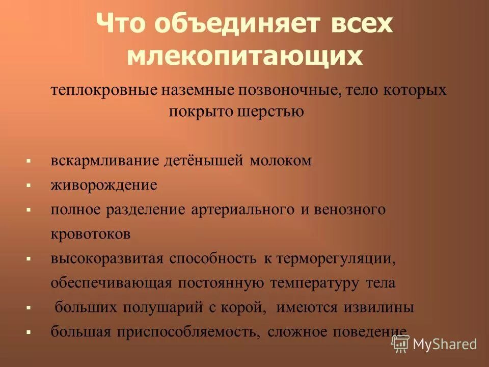 Теплокровность млекопитающих. Чем обеспечивается теплокровность у млекопитающих. Что объединяет человека и млекопитающих. Структуры которые сохраняют теплокровность у млекопитающих.