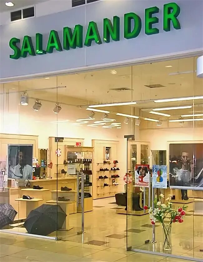 Salamander фото магазина. Salamander обувь магазины. Саламандра магазин. Саламандер владивосток магазин обуви. Саламандра обувь магазины в москве адреса.