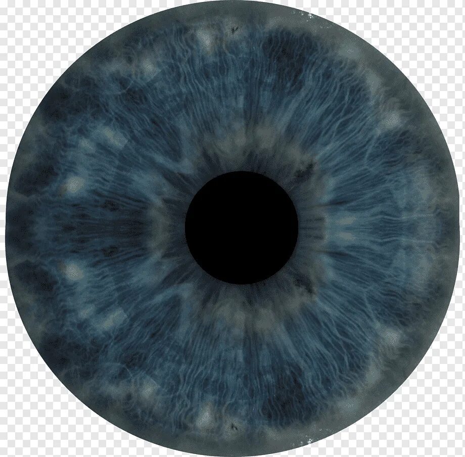 Радужка глаза. Зрачок глаза. Глаз. Голубые линзы для фотошопа. Радужка карих глаз.