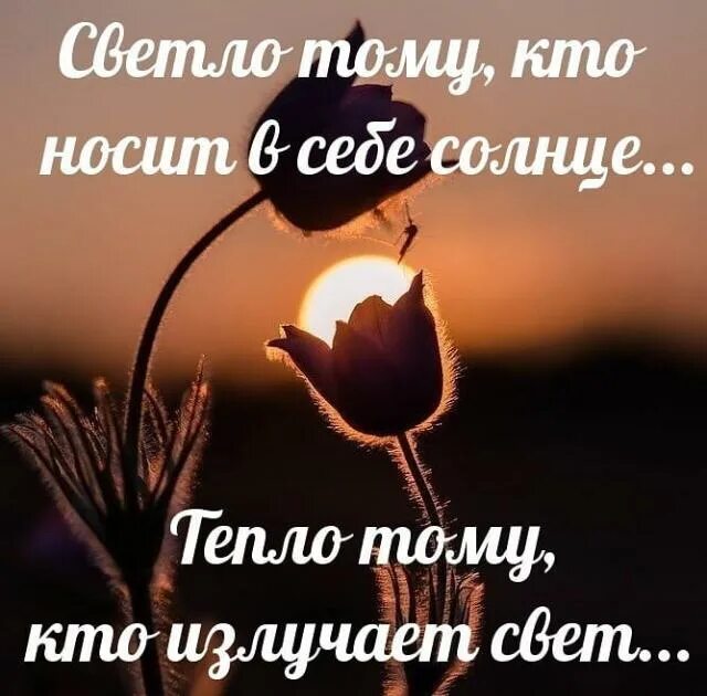 Светло тому кто носит в себе солнце тепло тому излучает свет. Тепло тому кто излучает свет. Тепло тому кто излучает свет картинки. Светло тому кто носит в себе солнце тепло тому кто излучает свет Автор. Излучай свет текст