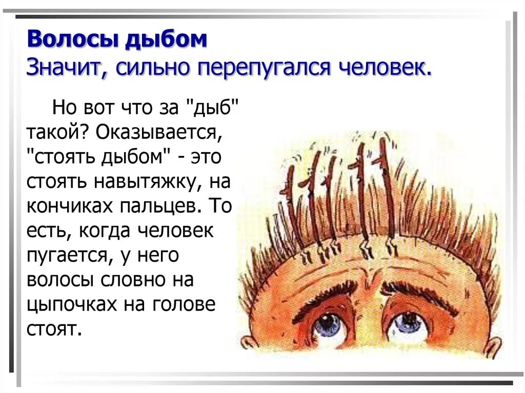 Что значит сильная голова. Волосы дыбом фразеологизм. Фразеологизмы значение и происхождение. Волосы становятся дыбом фразеологизм. Фразеологизмы и их происхождение.