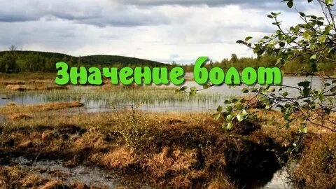 Что значит топи