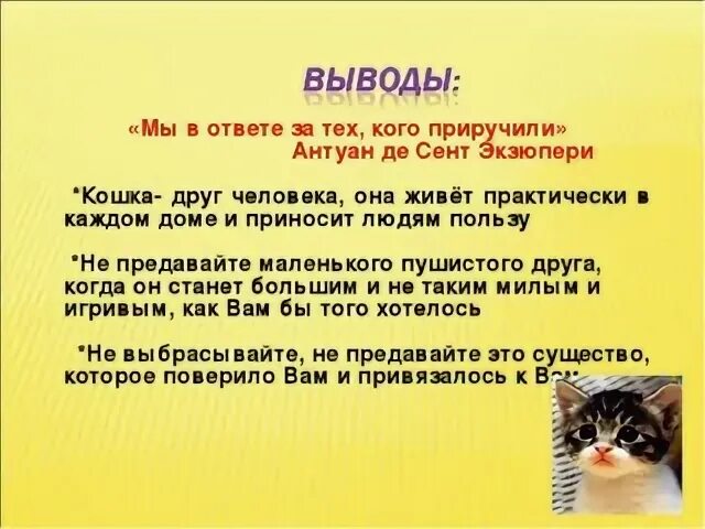 Мы в ответе за тех кого приручили. Мыв ответе за тех, кого пиручили. Мы в ответе за тех кого мы приручили. Мы в ответе за тех кого приручили смысл.