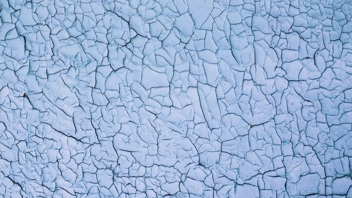 Share textures