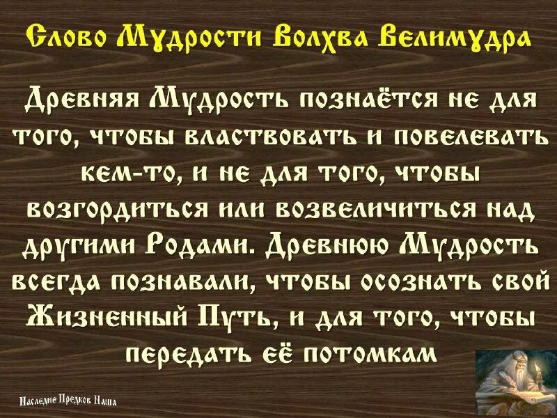 Мудрые высказывания. Мудрость картинки. Мудрые высказывания о жизни. Китайская мудрость цитаты. Древние мудрые слова.