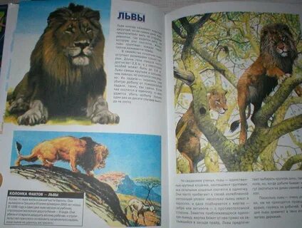 Прочитать энциклопедию