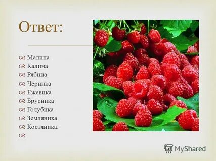 Я приду к тебе с клубникой текст