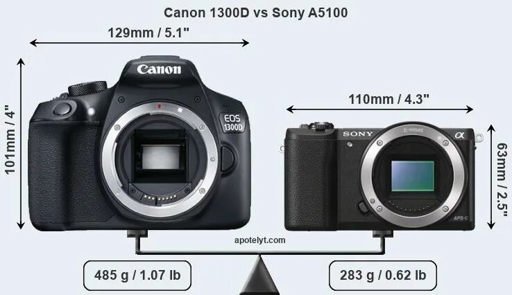 Sony canon сравнение. Canon 2000d. Sony NEX 5r vs Canon 550d. Canon EOS 5000. Автофокус Canon 2000d.