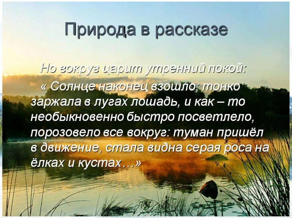 В чем смысл рассказа тихое утро. Описание природы. красивые описания природы. рассказы о природе. рассказ тихое утро.