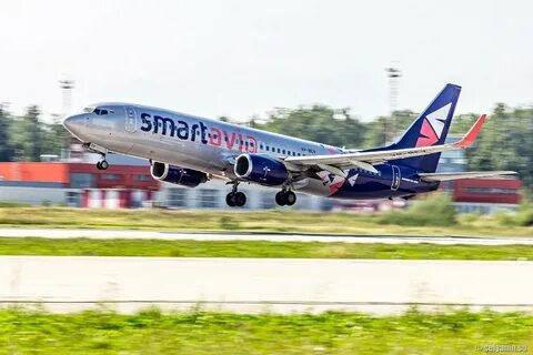 Компания самолет отзывы