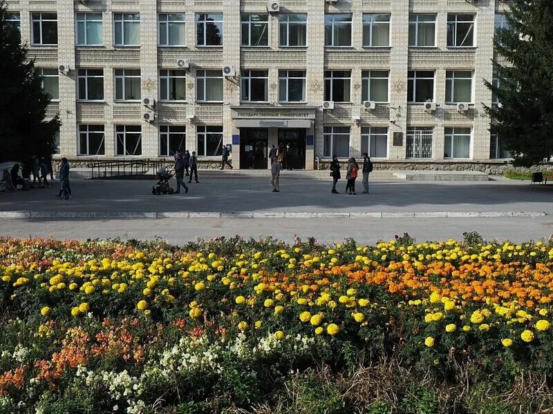 Открытки с новосибирском. Нгу новосибирский государственный университет общежитие. Академ новосибирск. Нгуакажем городок сверху. Дом ученых красноярск академгородок.