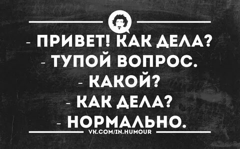 Глупый вопрос это