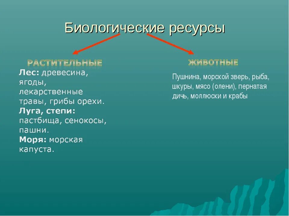 Биологические ресурсы география 10 класс. Биологические природные ресурсы. Виды биологических ресурсов. Биологические ресурсы России.