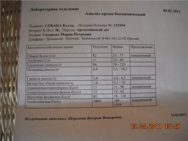 Через неделю сдадим анализы. Анализ на паразитов. Анализ на гельминты. Анализ крови на паразитов у детей. Анализы на паразитов у взрослых.