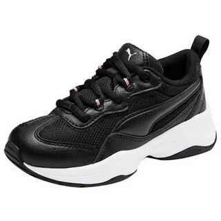 Puma cilia