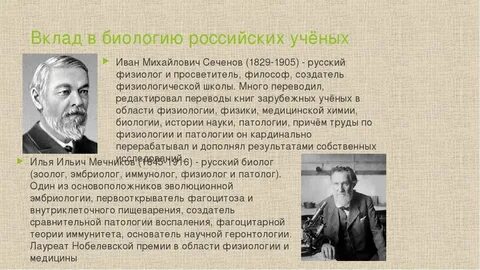 Доклад о ученом биологе