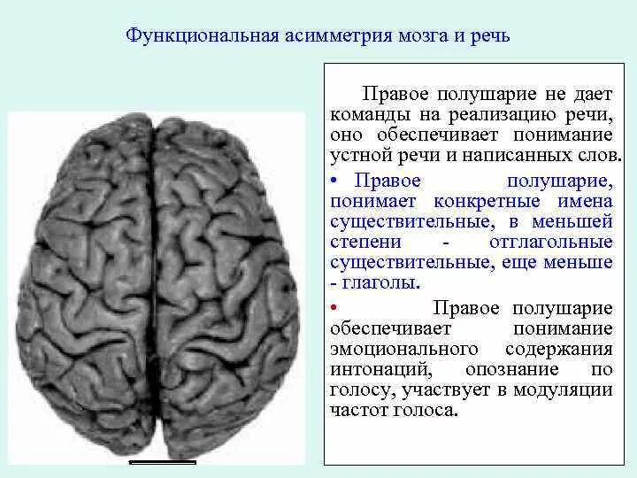 Большие полушария мозга задания. Функциональная межполушарная асимметрия головного мозга это. Асимметрия функций головного мозга. Функциональная асимметрия полушарий. Функциональная асимметрия коры головного мозга.