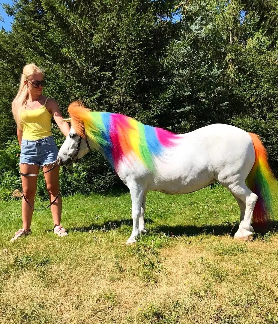 аникорн. разноцветный единорог. цвета единорога. единорог настоящий. какого цвета будет единорог.