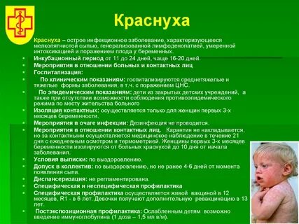 Сколько месяц карантин