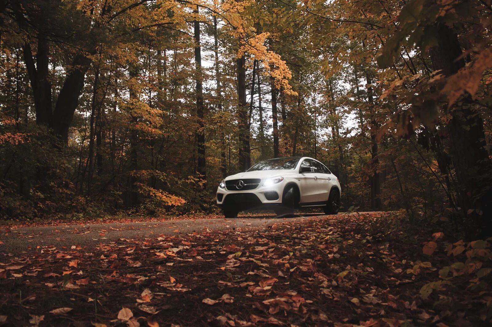 Капот в лесу. Мерседес осень. Mercedes осенью. Мерседес в лесу осень. Машина в осеннем лесу.