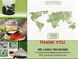 Презентация какой чай выращивают на Шри Ланке. Чай зелёный листовой Шри Ланка Солден сеулон. Чай пуэр Цейлон набор 5 видов ассорти. Купить Sea of Tea.