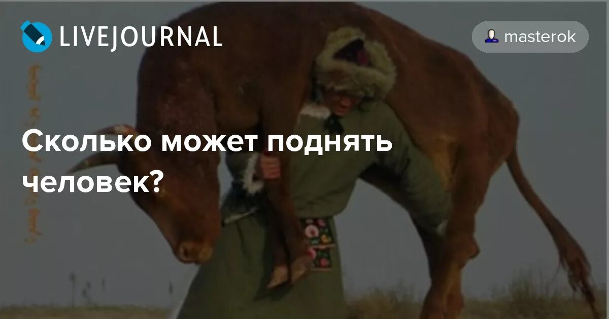 охрана труда молодёжи нормы предельно допустимых нагрузок. задачи на плечи сил физика. нормы подъема тяжестей для женщин. вес подъема груза для мужчин. сколько может поднять человек.