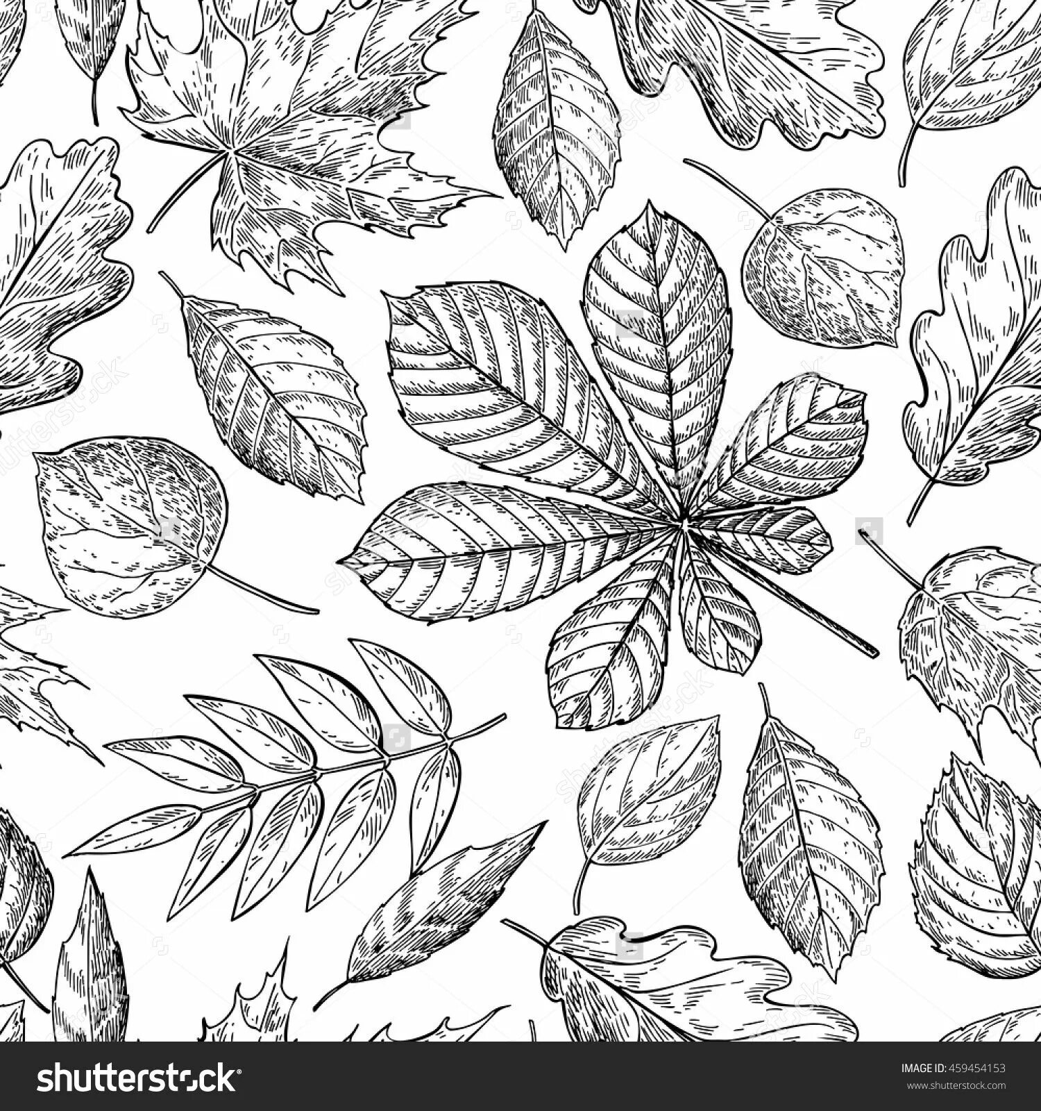 Графичные листья. Стилизация растений грэхем лесли. Стилизация листа. Рисунок листьев графика. Стилизованные листья.